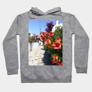 Skopelos Island in Greece Hoodie